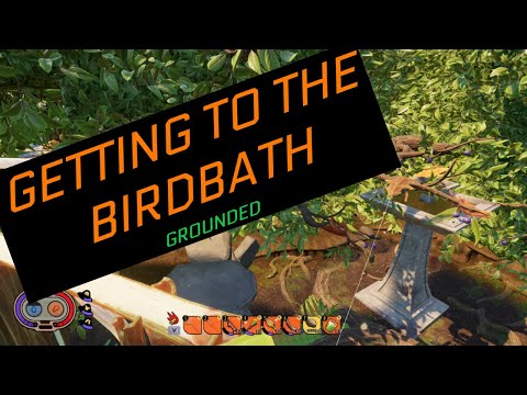 YouTube video about: How to get on the bird bath grounded?