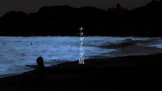 ナツギクと夕凪 / ジグ feat. 初音ミク - Early Chrysanthemums And Evening Calm