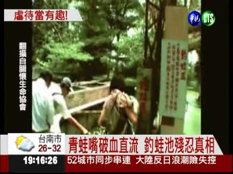 豬跳火圈.活雞餵蛇 休閒農場上演