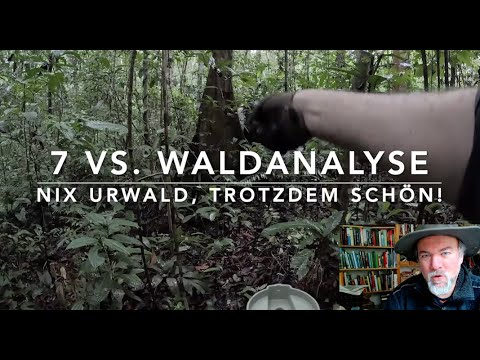 Tropical rainforest vs. tropical secondary forest