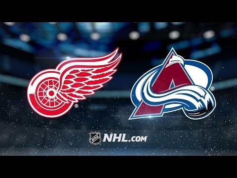 Richards raises Red Wings for Stadium Series win