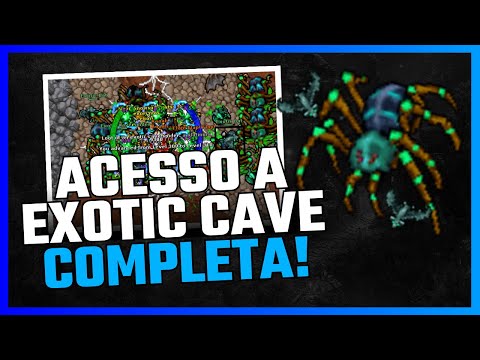 Desbloqueie a Exotic Cave no Tibia: Guia Definitivo da Pirate's Tail Quest!