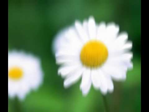 Danny feat Therese -If only you(elmiśka)