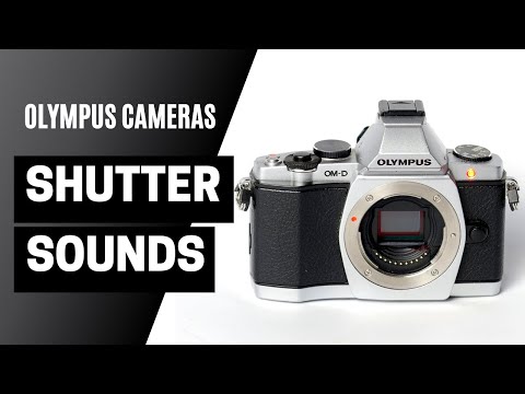 Camera Shutter Sound Effects - 12 Olympus Digital Cameras #ASMR