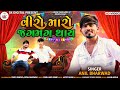Viro Maro Jagmag Thay વીરો મારો જગમગ થાય Anil Bharwad New Song 2021