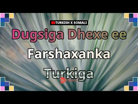 Dugsiga Dhexe ee Farshaxanka Turkiga | Golearn