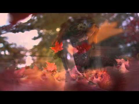 I just really miss you .. by Miranda Lambert with lyrics