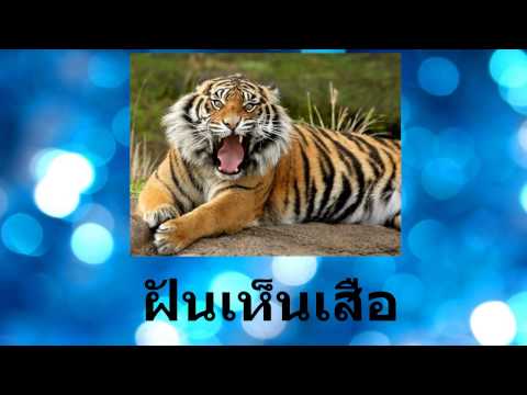 รูปร่างโรคสะเก็ดเงิน erythrodermic กลากเอชไอวี