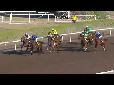 SALTARIN DUBAI - JEBEL ALI STAKES (L) - JEBEL ALI (UAE) - 5/2/2021
