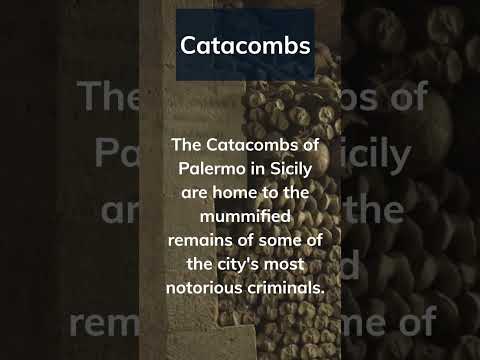 The Dark Secrets of Palermo's Criminal Catacombs: A Tour You Won't Forget #shorts
