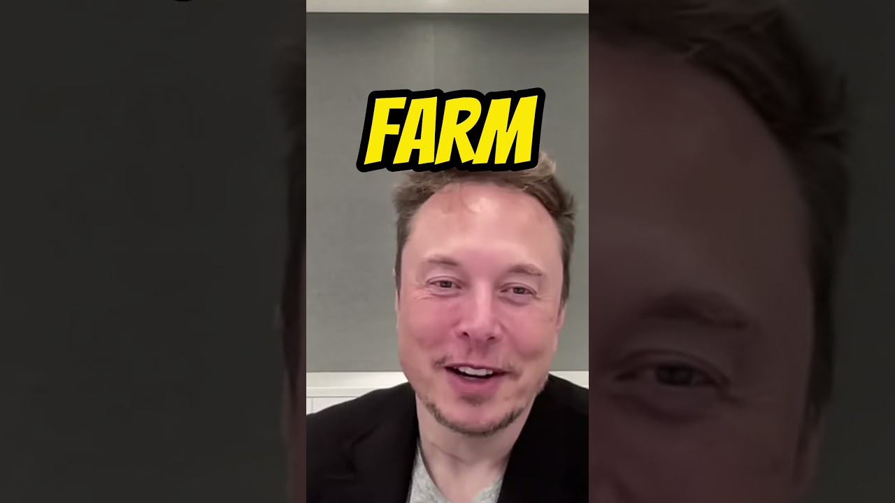 Elon Musk reveals his favorite cryptocurrency #crypto
