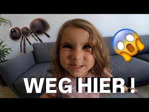 ANTS IN OUR HOUSE 🐜 😱 WE HAVE TO GET OUT | Nader Louisa