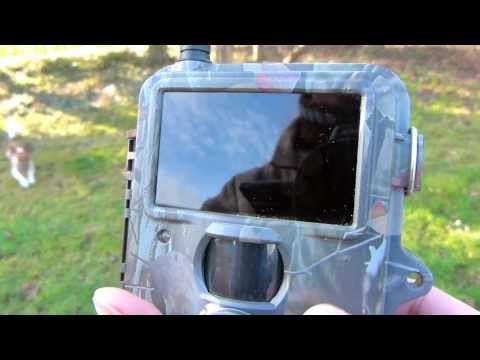 Wild camera DOOR Snapshot Mobile Black 5 0