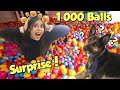 Surprising My DOG with 1,000 Colourfull Balls!! 😱 *Hilarious Reaction*