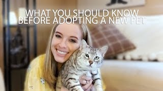 3 Tips From an Animal Communicator on Adopting a New Pet