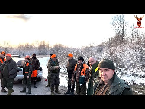 Lov na divlje svinje Bosanski Brod