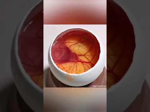 Aparajita Ghosh's post tagged #cookingismeditation