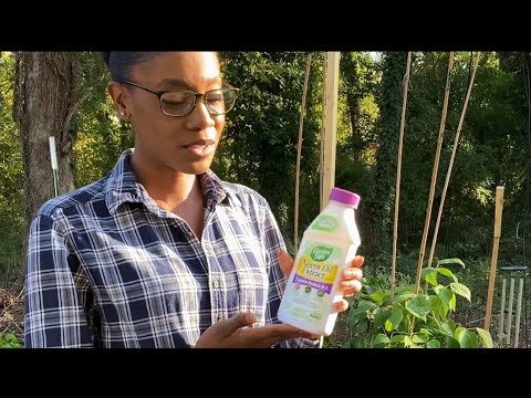 Neem Oil for Pest Control