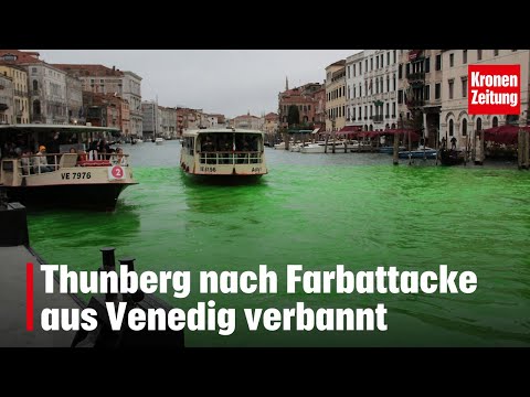 Thunberg nach Farbattacke aus Venedig verbannt | krone.tv NEWS