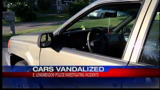 preview picture of video 'More E. Longmeadow cars vandalized'