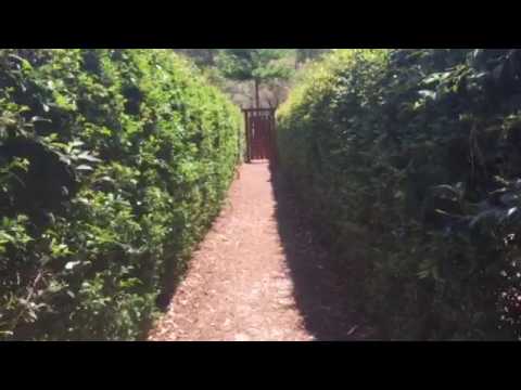 Hedge Maze Outback Splash