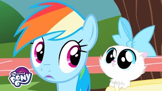 Songs | The Pet Song&#39; Music Video  | MLP Songs #MusicMonday
