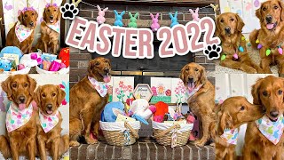 Easter Special 2022 | Dog Easter Egg Hunt, Scavenger Hunt & Easter Baskets