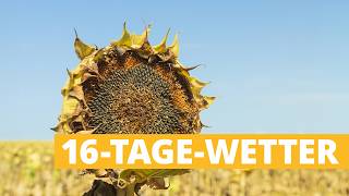 16-Tage-Trend: Hier bleibt Trockenheit ein Problem