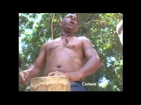 HISTORIA    DEL   GRUPO  MADERA   DE 1980 AL 2011