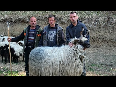 Zbogom nomađenju, kuća je zakon