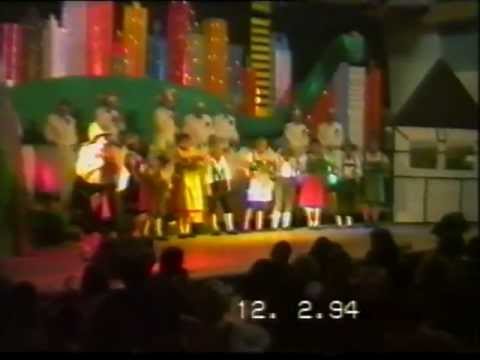 Karneval in Friesenhagen - DJK Dienstagsgruppe - 1994 - "Auf nach Mallorca"
