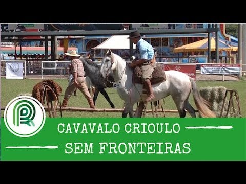 Veja novo episódio do Cavalo Crioulo sem Fronteiras
