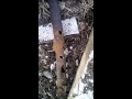 Обстрел Горловки . Калининский район 