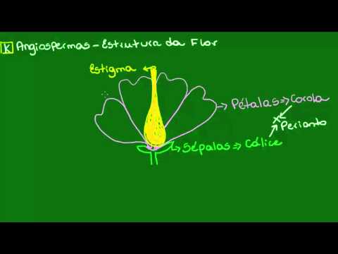 Flower structure - Ecology - Biology