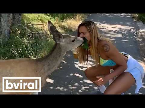 She's Sharing a Kiss with a Wild Animal