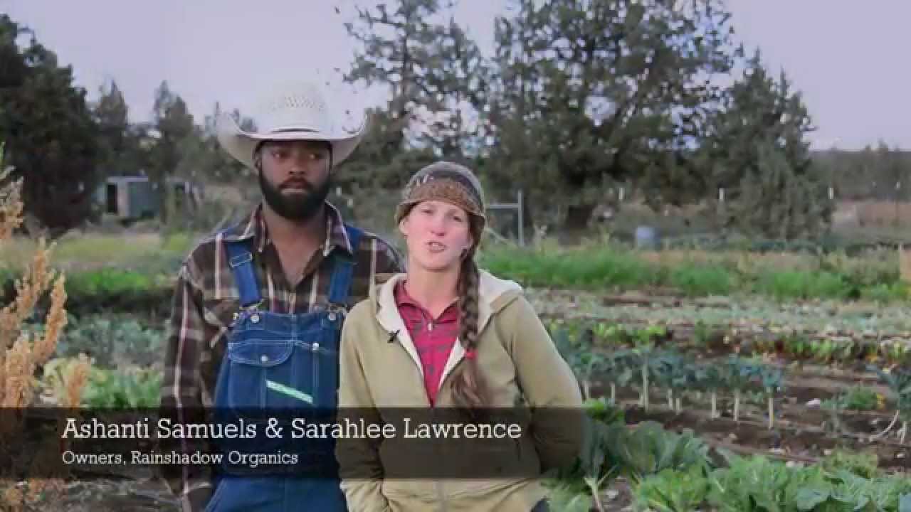 Rainshadow Organics CSA