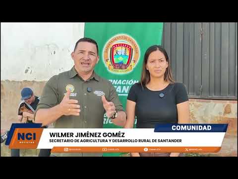 JORNADA DE ESTERILIZACIÓN FORTALECE BIENESTAR ANIMAL EN SANTANDER