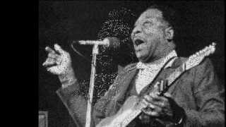 Muddy Waters - Iodine In My Coffee