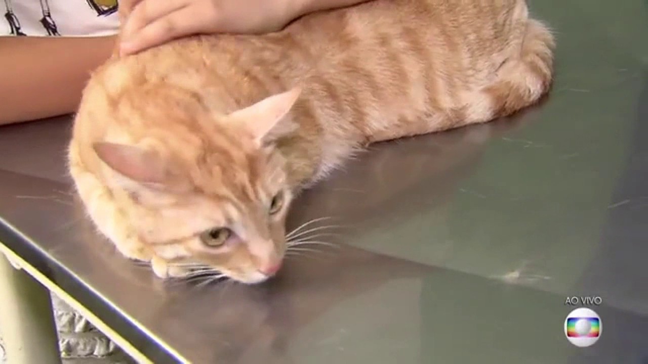 Monica Itabayana B Da Fonseca-1