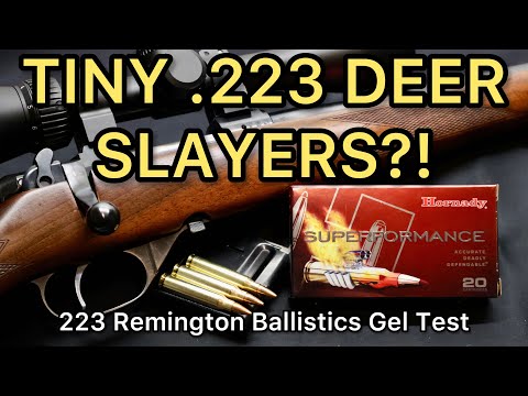 KILLER COPPER?! 223 Remington Hornady Superformance CX 50 & 55gr Ammo Test
