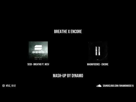 Seeb ft. Neev vs Magnificence - Breathe / Encore (D!NAMO Mash-Up)