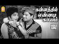 Kannathil Ennadi Video Song கன்னத்தில் என்னடி Thanippiravi MGR Jayal