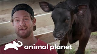 Thumbnail del capítulo