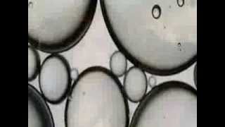 Amon Düül -  Da Guadeloop (1974)