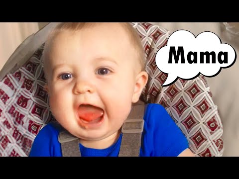 A MUST: Baby's First Words - Funniest Babies Talking For The First Time || Cool Peachy🍑