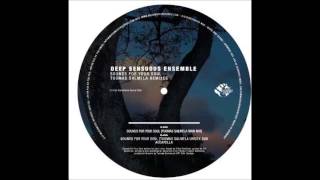 Deep Sensuous Ensemble - Sounds For Your Soul (Phonogenic Dub)