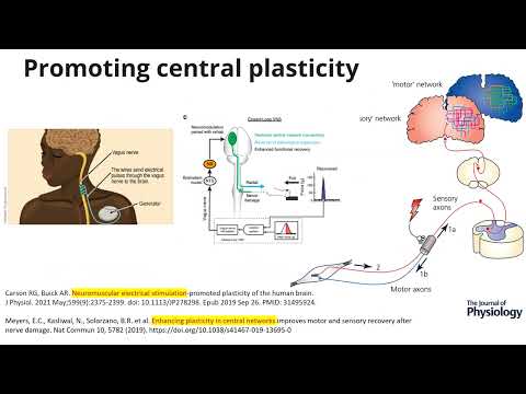 Advances in Nerve Surgery