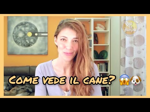 Come terapeuta manuale tratta osteocondrosi cervicale Che per il trattamento di articolazione infiammata sul alluce