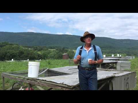 Joel Salatin's 3 Farming Principles