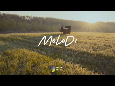 MOLODI - дім (official video)